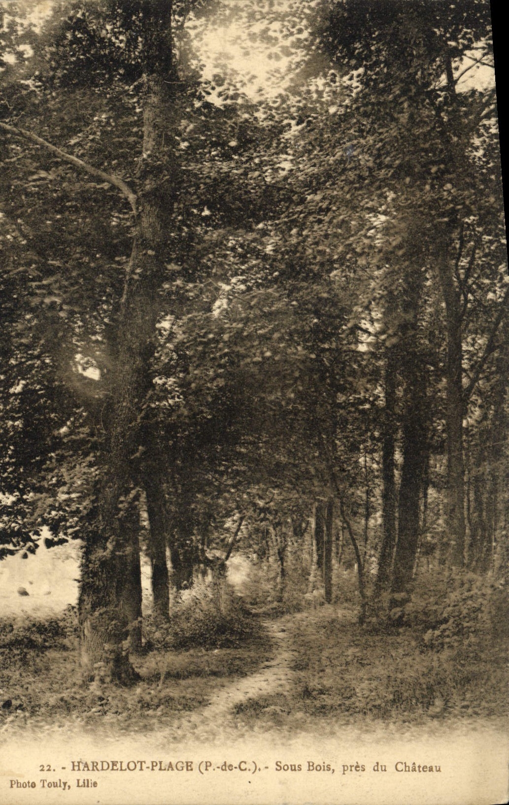 CPA Hardelot Plage Sous Bois Pres Du Chateau