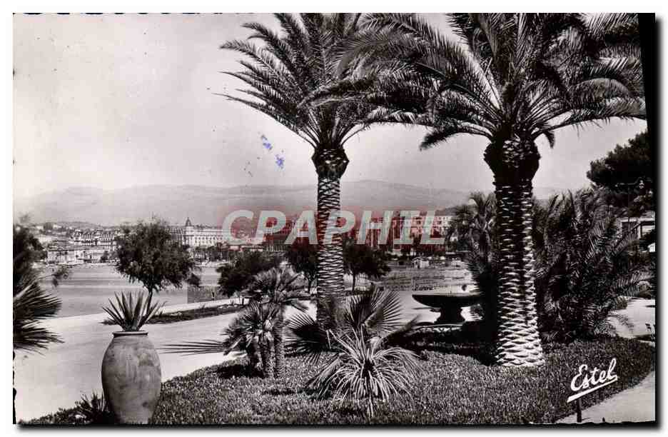 CPM Cannes Le Jardin des Hesperides 