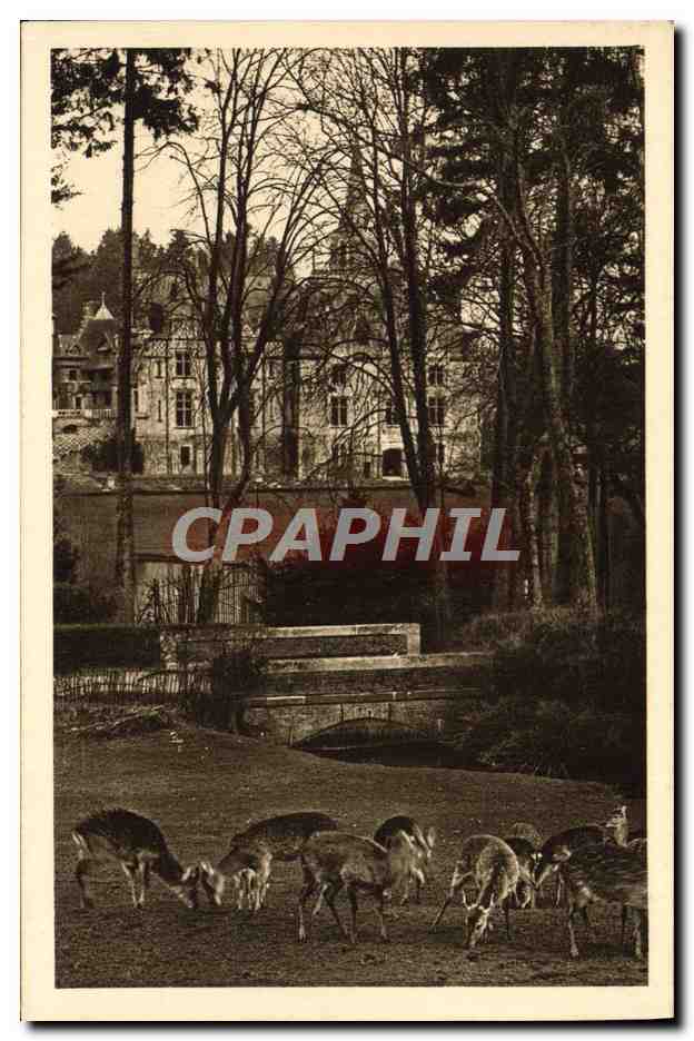CPA Parc Zoologique de Cleres Carfs pseudaxis Zoo