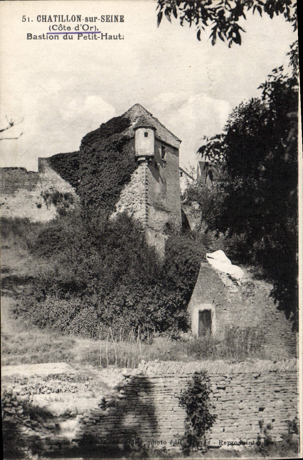 CPA Chatillon Sur Seine Bastion du Petit Haut
