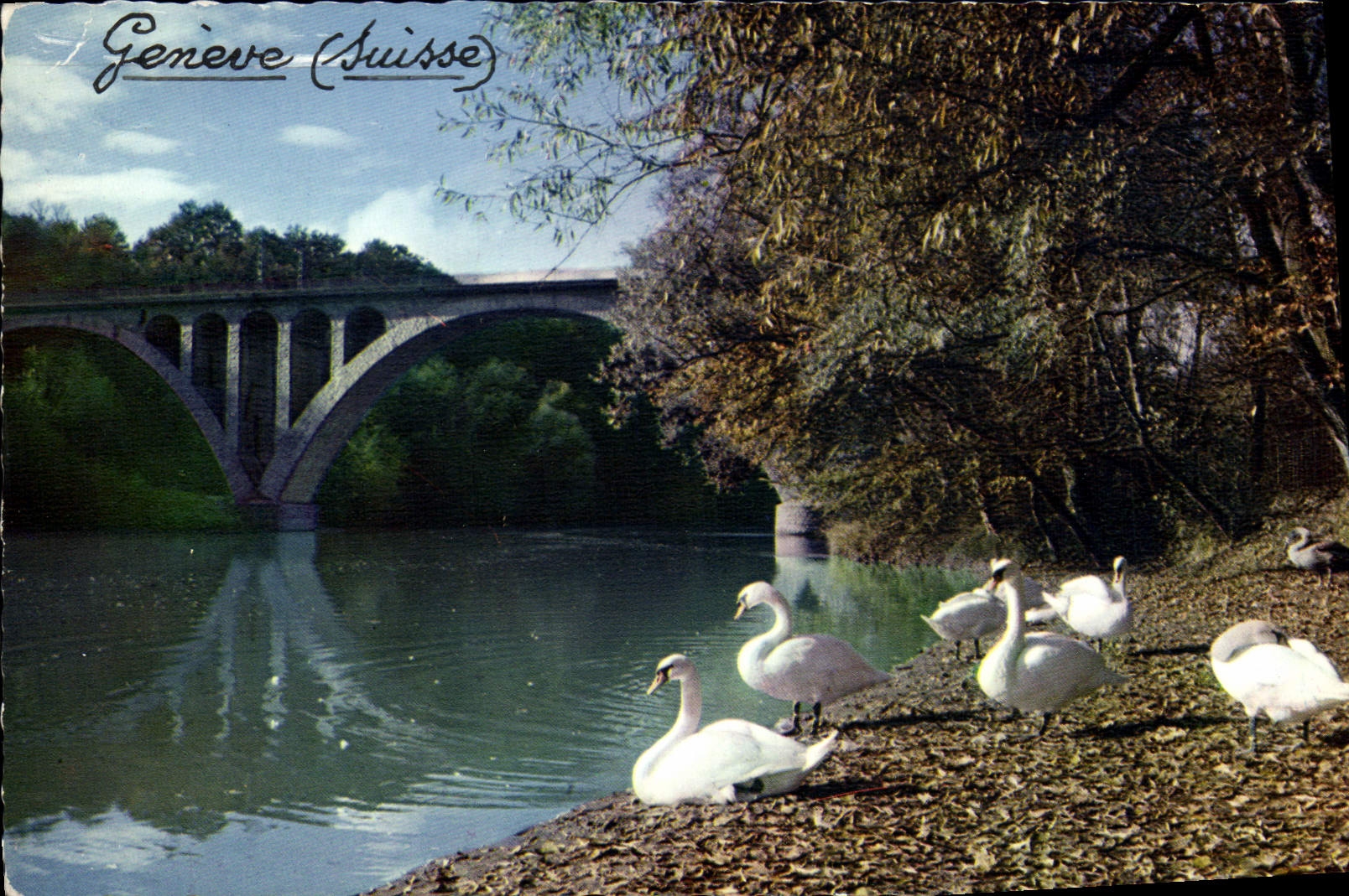 CPM Geneve Le Viaduc St Jean a la Jonction Cygne