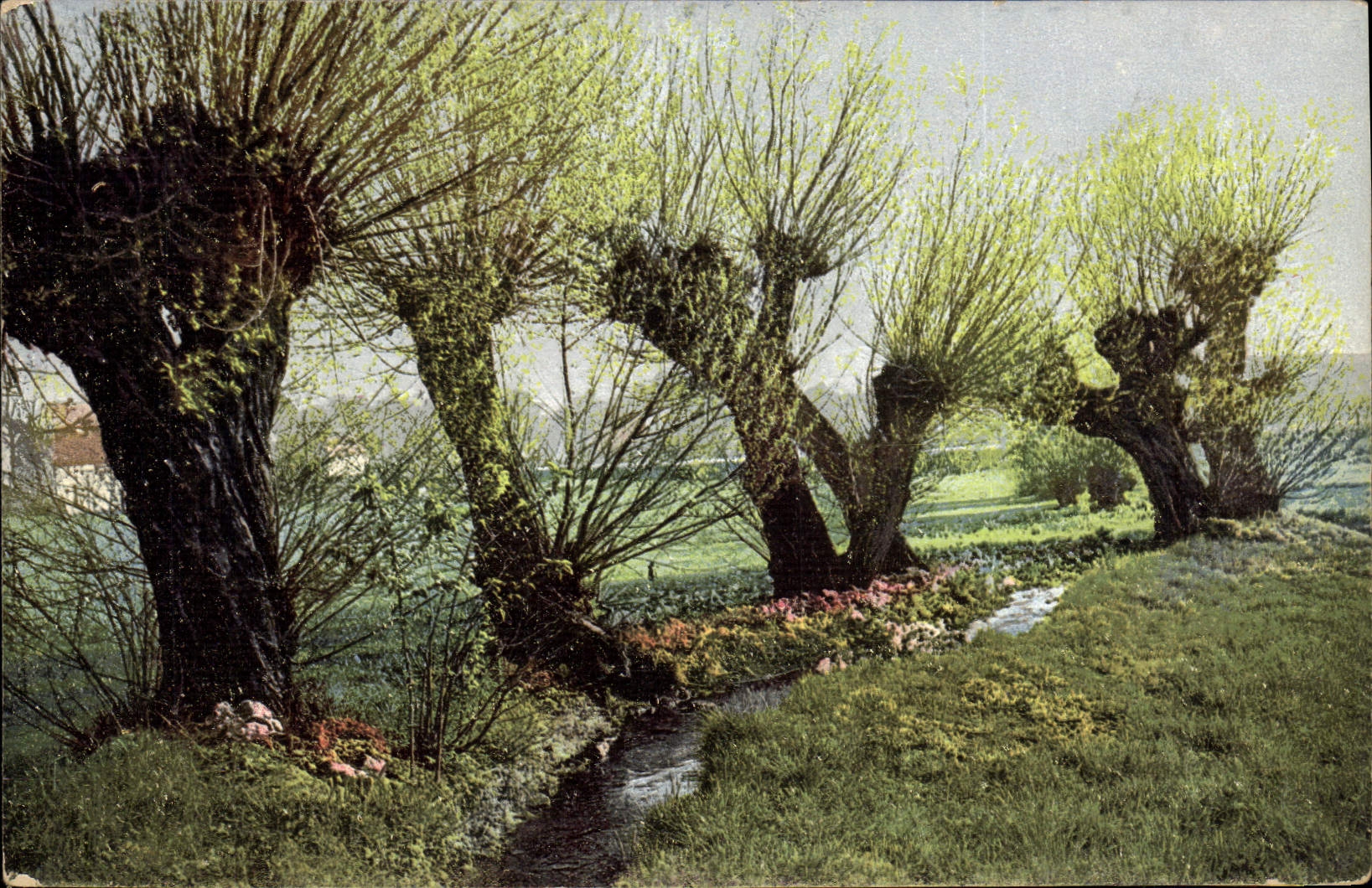 CPA Arbres