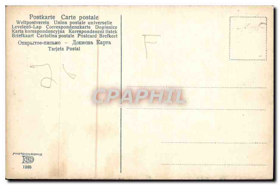 CPA Arbres — Verso