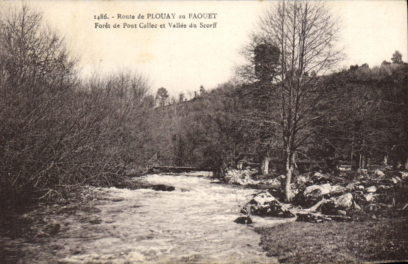 Route de Plouay au Faouët — Forêt de Pont Callec et Vallée du Scorff — Laurent-Nel, Rennes