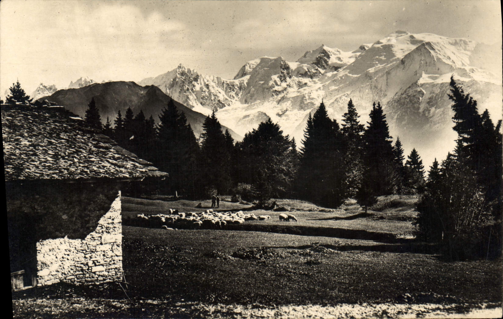 CPM Passy Plaine Joux Et La Chaine Du Mont Blanc