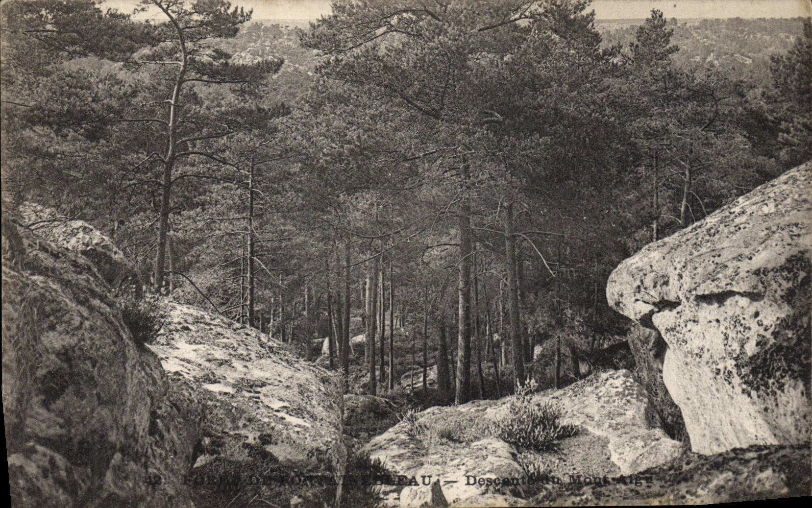 Cartolina d'epoca Foresta di Fontainebleau Discesa del Monte Aigu