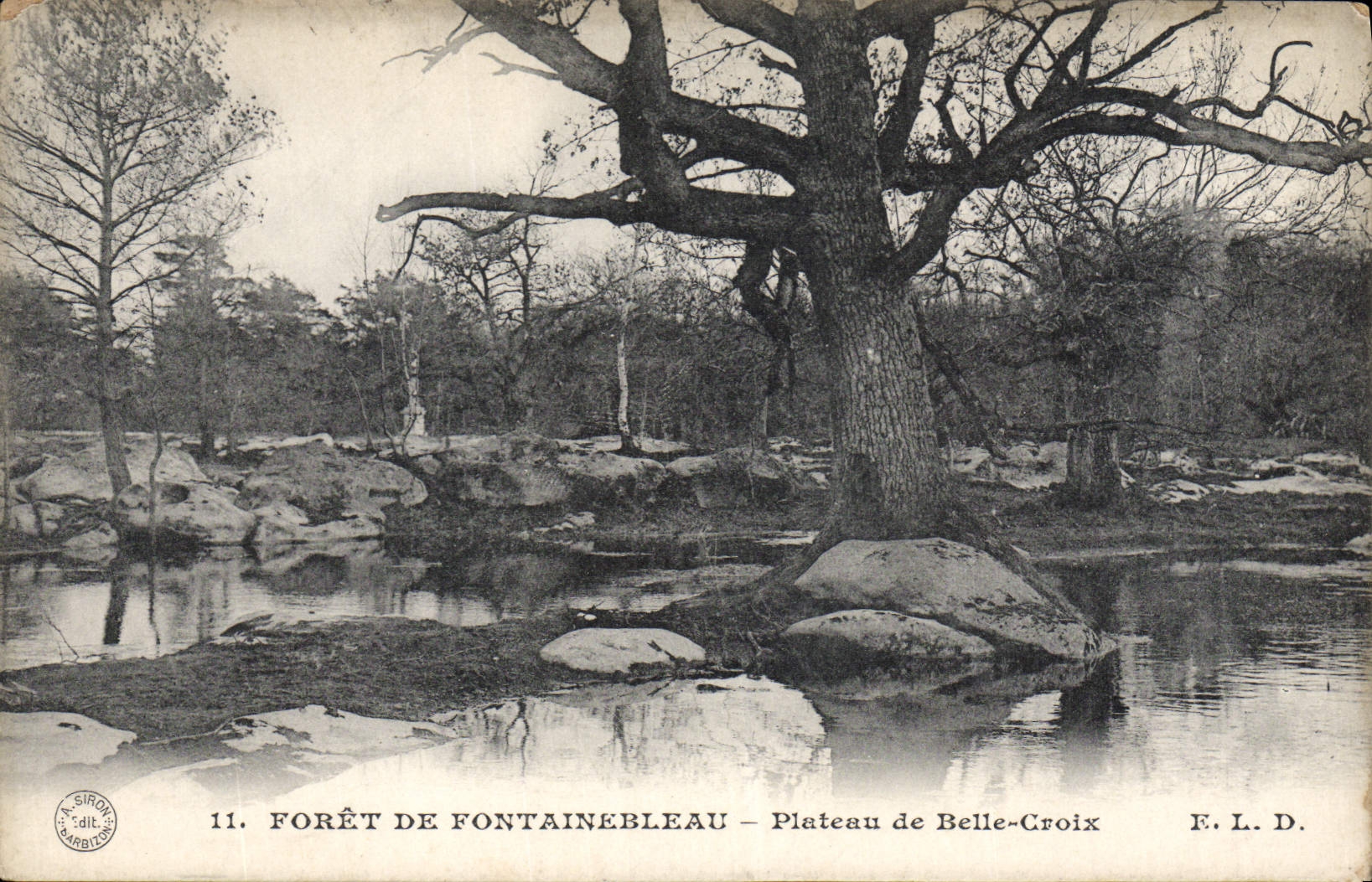 Bosque de Fontainebleau — Plateau de Belle-Croix — F. L. D.