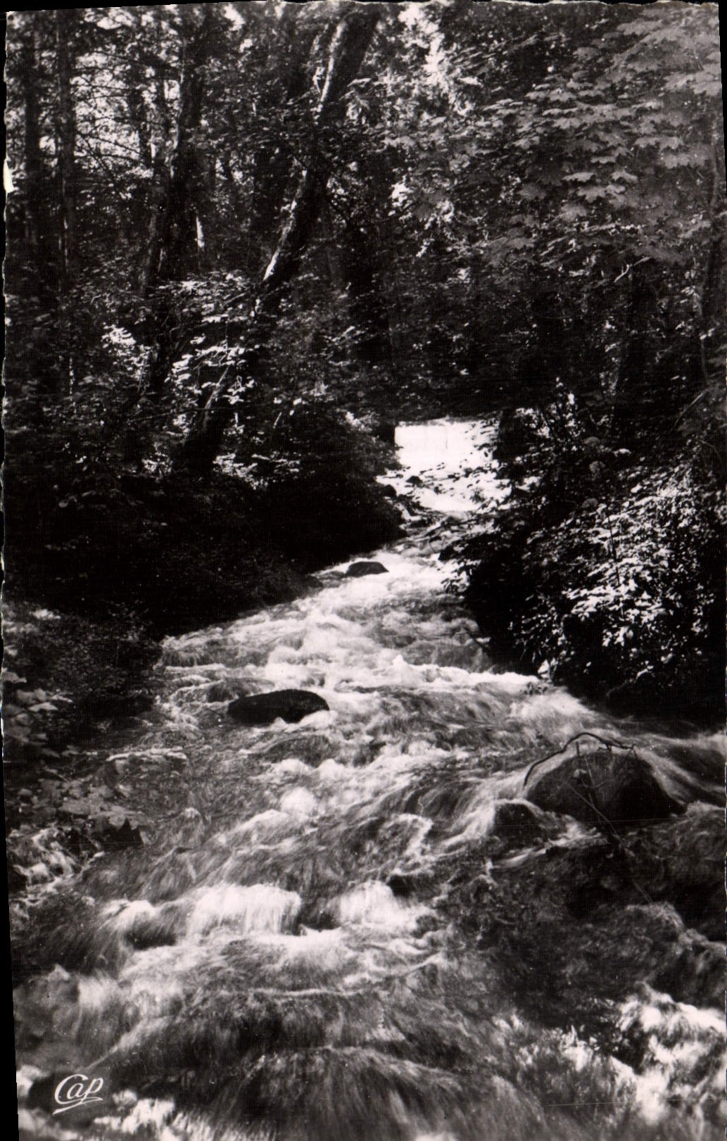 Divonne-les-Bains — Rivière en forêt — Cap