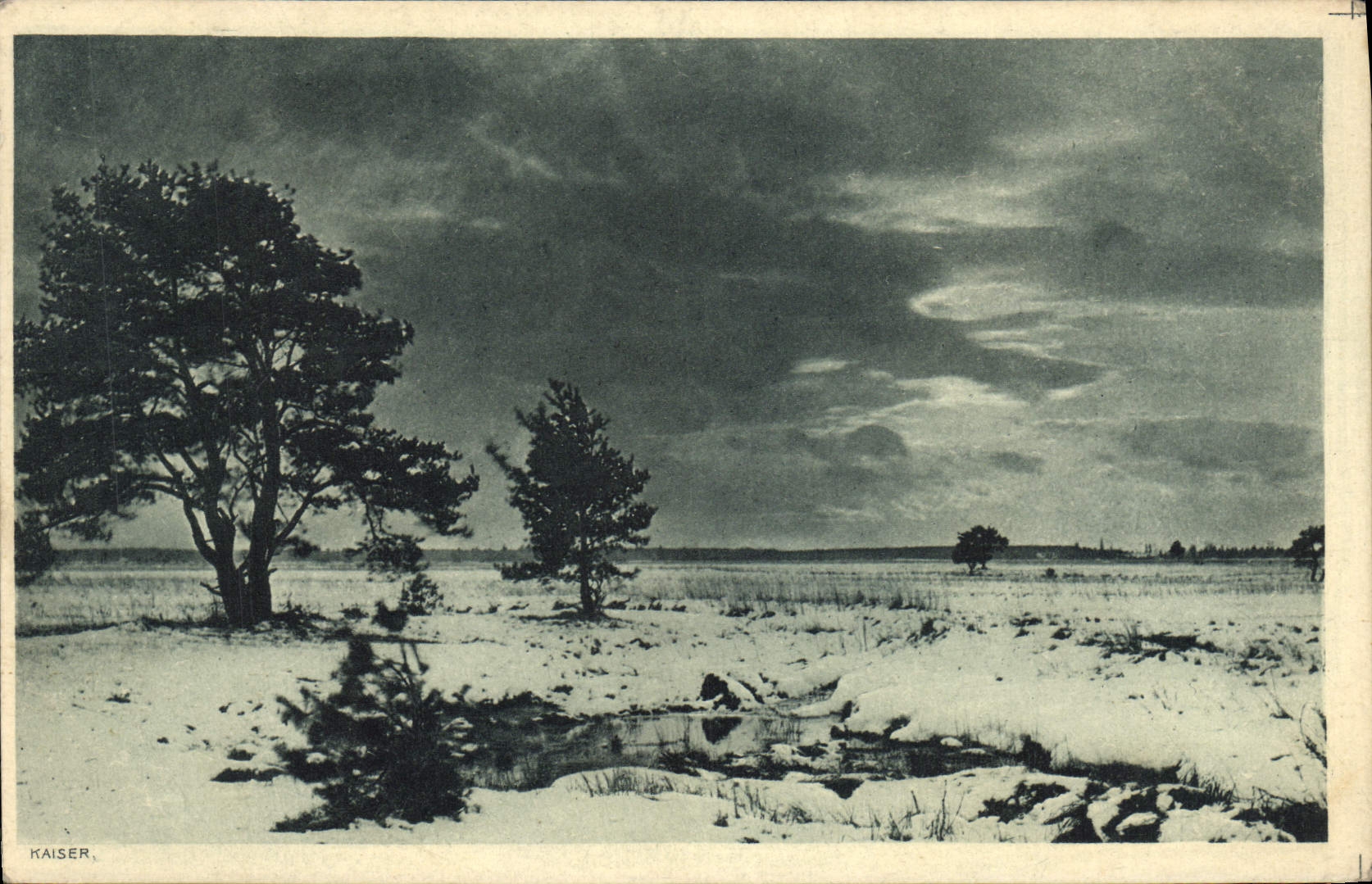 CPA Arbres Paysage