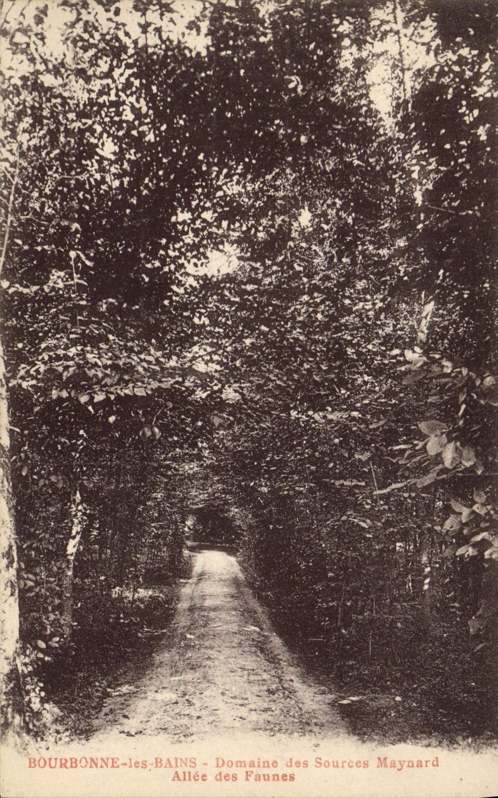 CPA Bourbonne Les Bains Domaine Des Sources Maynard Allee des Faunes