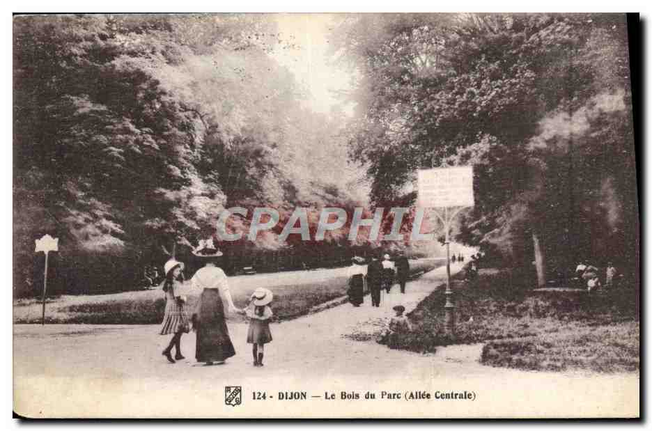 CPA Dijon Le Bois Du Parc Allee centrale