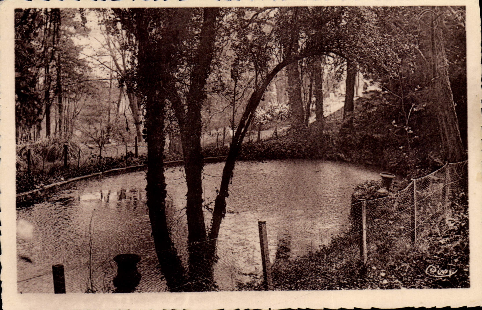 CPA Juvisy Un Sous Bois Dans Le Parc