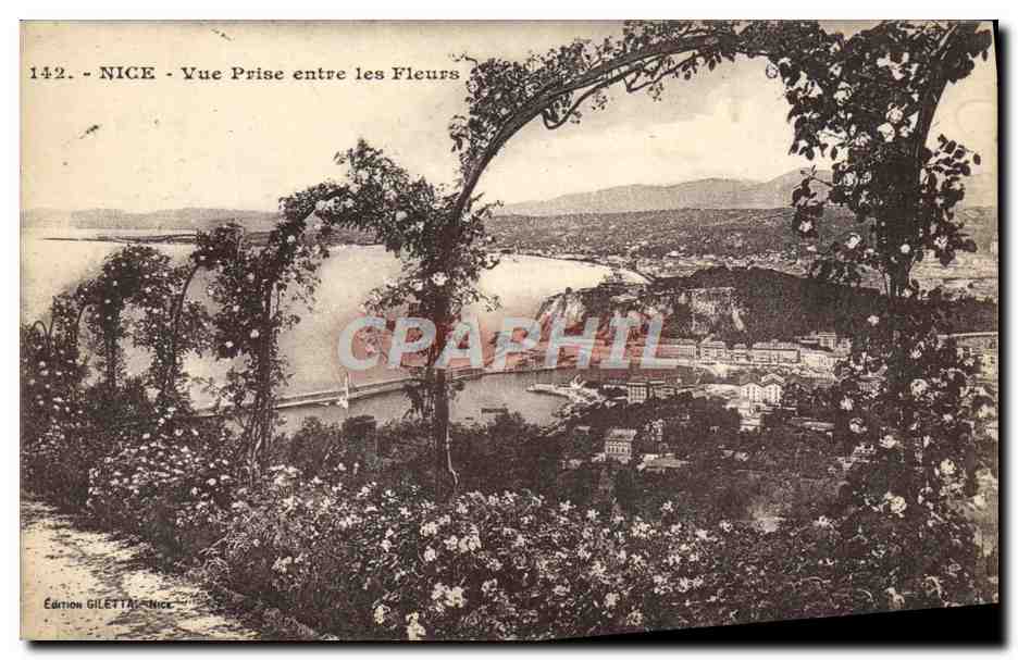 CPA Nice Vue Prise Entre Les Fleurs
