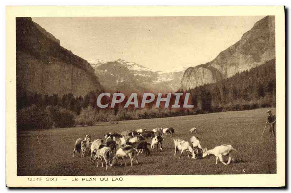 CPA Sixt Le Plan Du Lac Chevres Chevre 