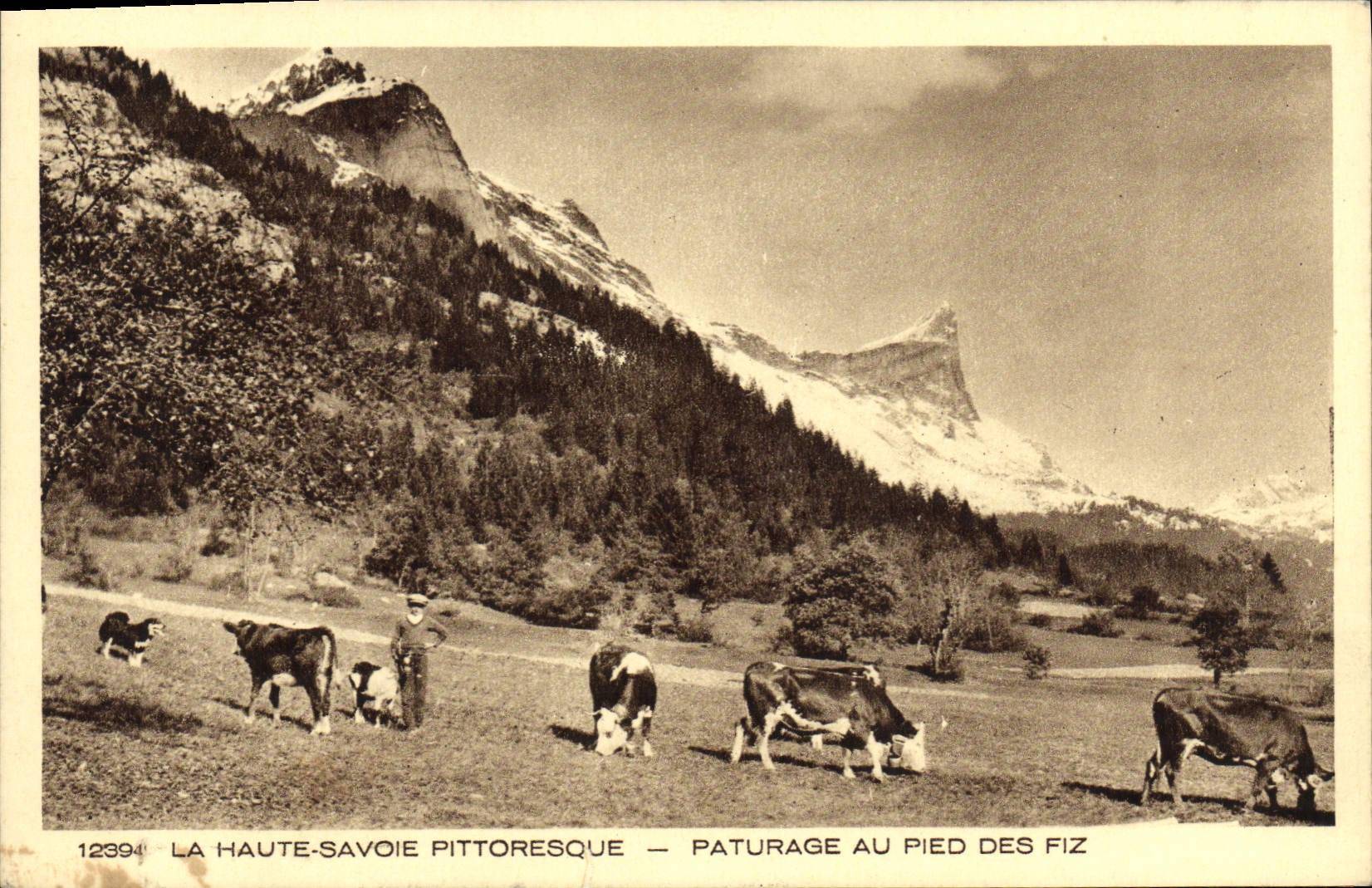 La Haute-Savoie pittoresque — Paturage au pied des Fiz — n°12394
