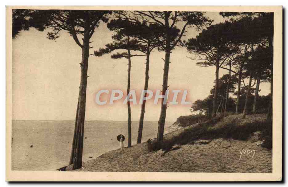 CPA Le Moulleau Parc Des Abatilles