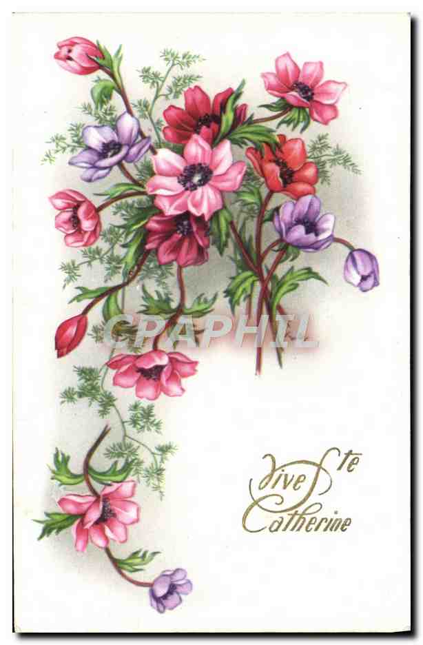 CPA Fantaisie Fleurs Vive Catherine