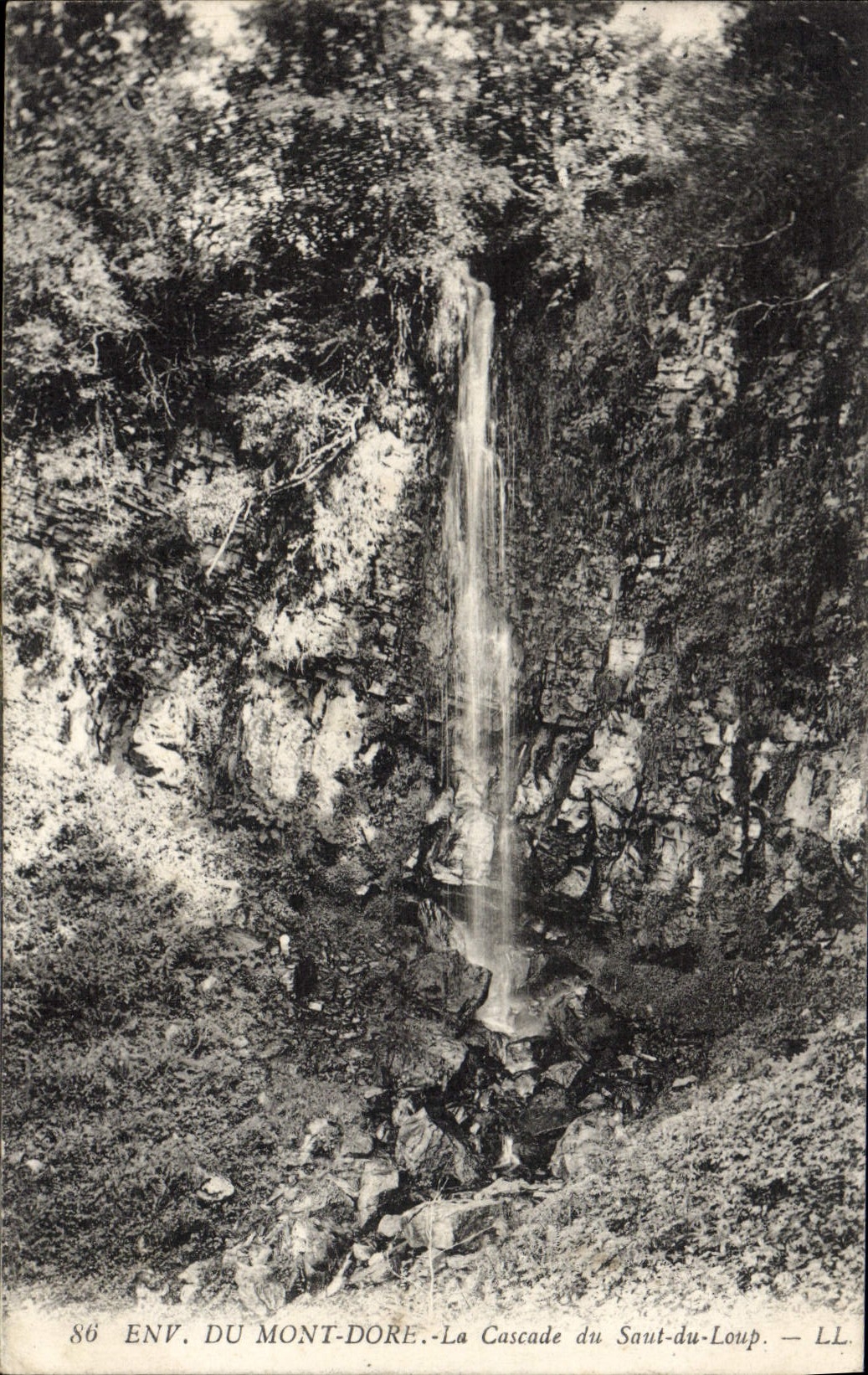 CPA Env Du Mont Dore La Cascade Du Saut Du Loup