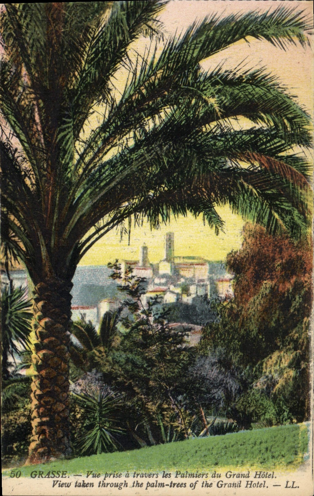 Grasse — Vue prise à travers les palmiers du Grand Hôtel — LL. n°50