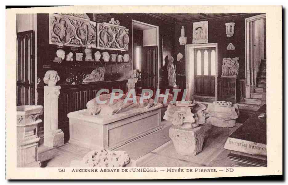CPA Ancienne Abbaye De Jumieges Musee De Pierres