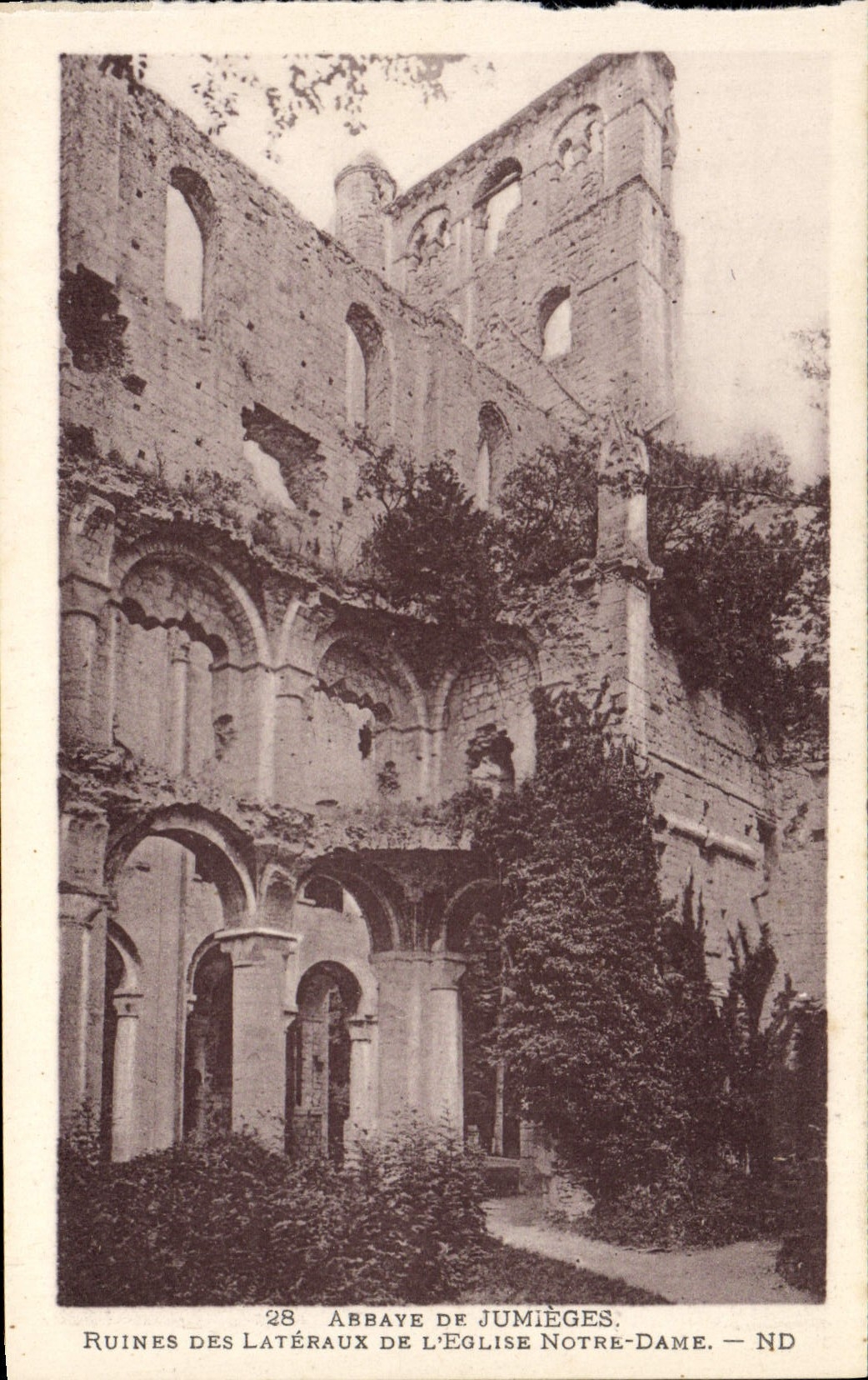 Rovine dei lati della chiesa di Notre-Dame — Abbazia di Jumièges — ND