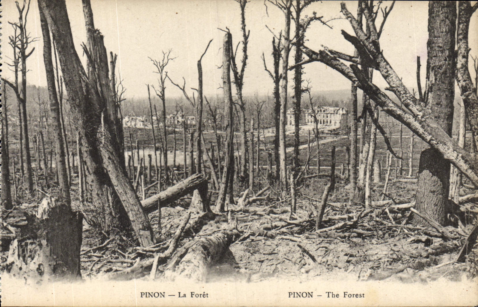 Pinon — La Forêt — B. Nongarède et H. Leaupin-Salmons - Anverso