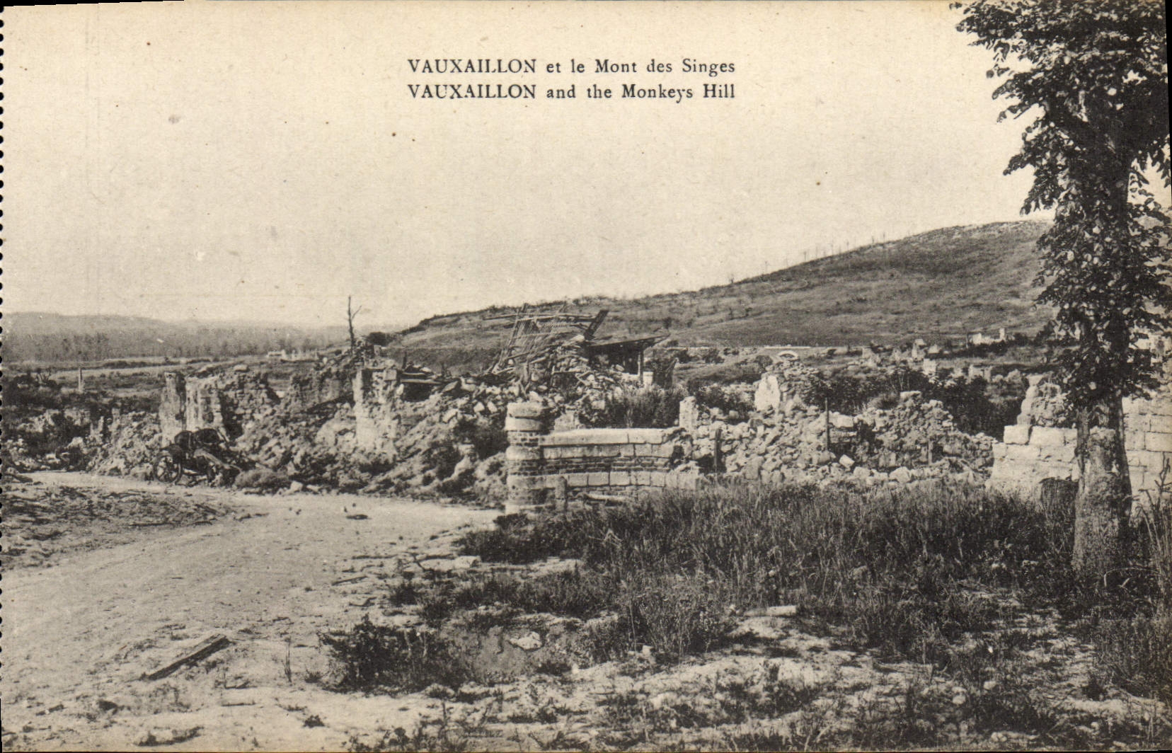 Vauxaillon et le Mont des Singes — ruines et paysage — B. Nongarède et H. Lautin