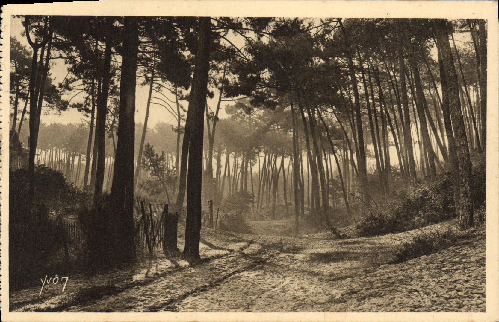 Arcachon — Matin d'automne dans la forêt de la Ville d'Hiver — Éditions d'Art YVON