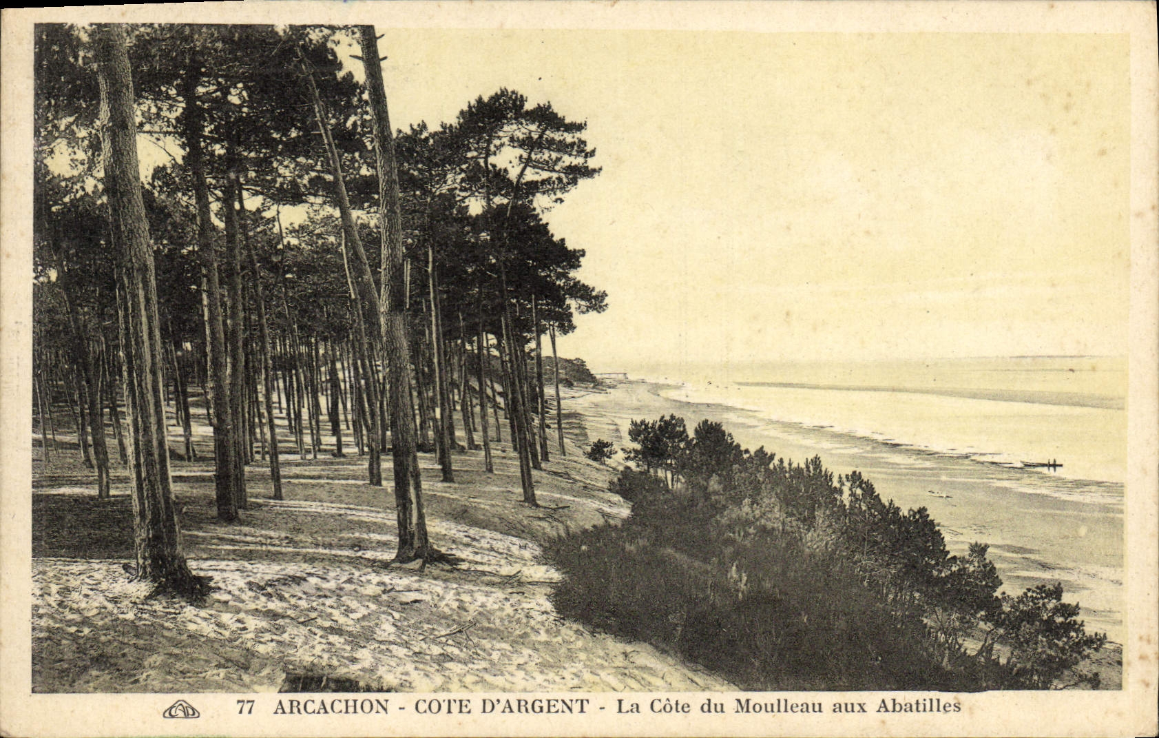 Arcachon - Côte d'Argent - La Côte du Moulleau aux Abatilles — éditeur Saint-Dory, n°77