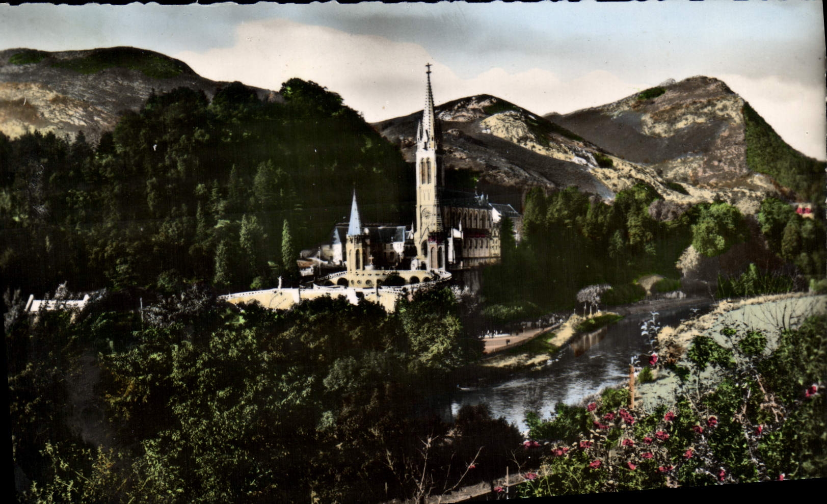 CPM Lourdes La Basilique Et Le Gave