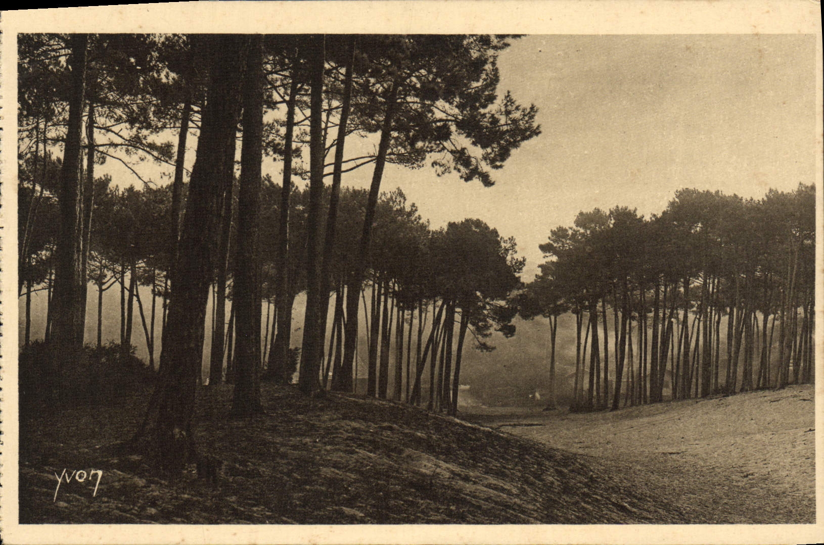 CPA Arcachon Les Grendes Dunes de la Ville d'Hiver