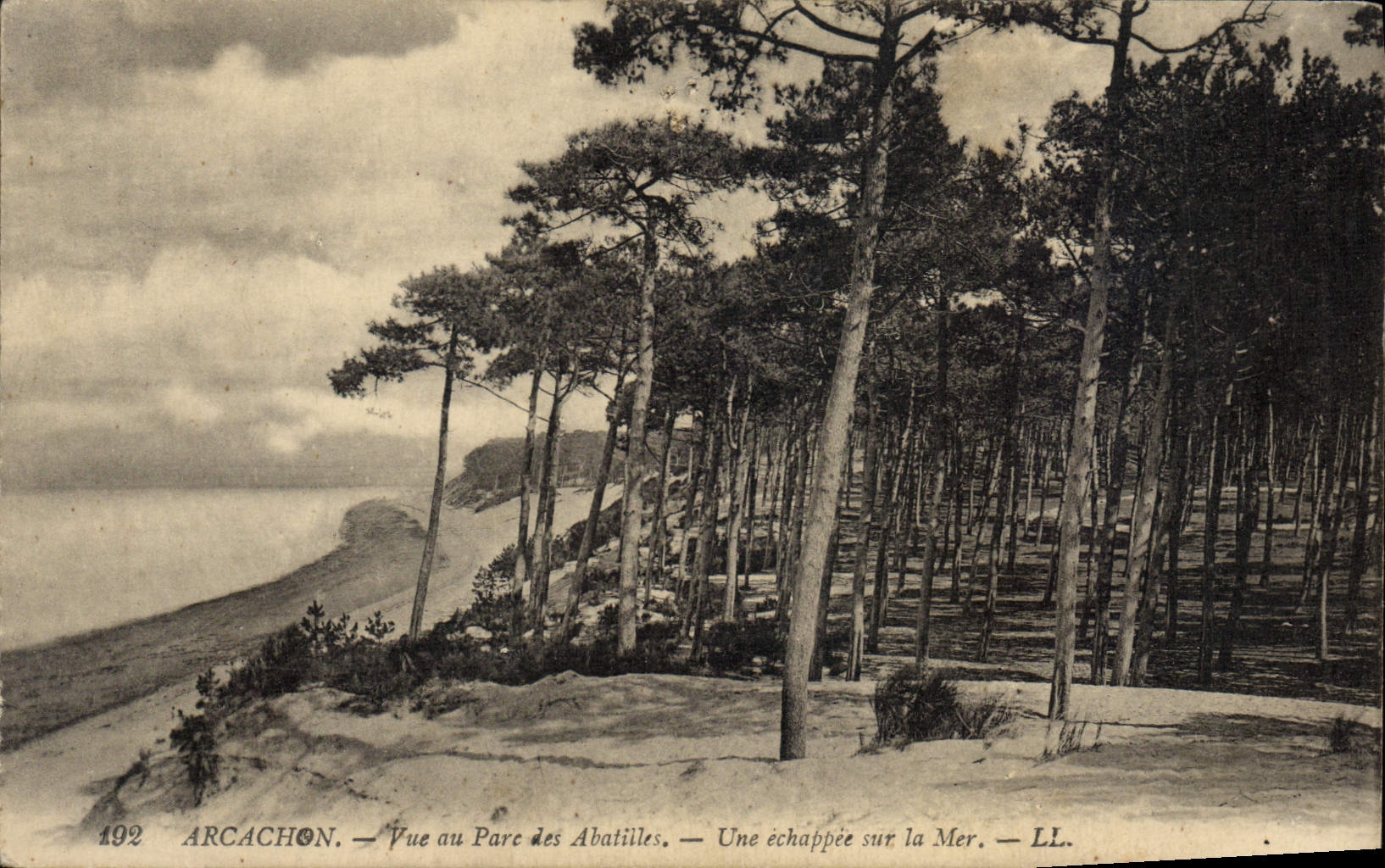 Arcachon — Vue au Parc des Abatilles — Une échappée sur la Mer — LL.