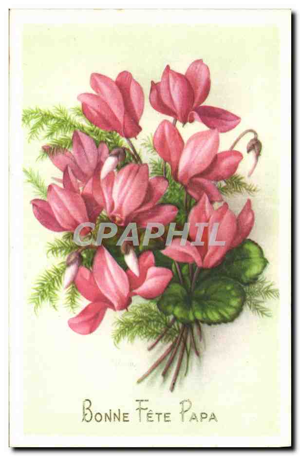 CPA Fantaisie Fleurs Bonne Fete Papa