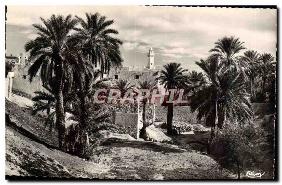 CPM Bou Saada Cite Du Bonheur Mosquee des Ouled Amida
