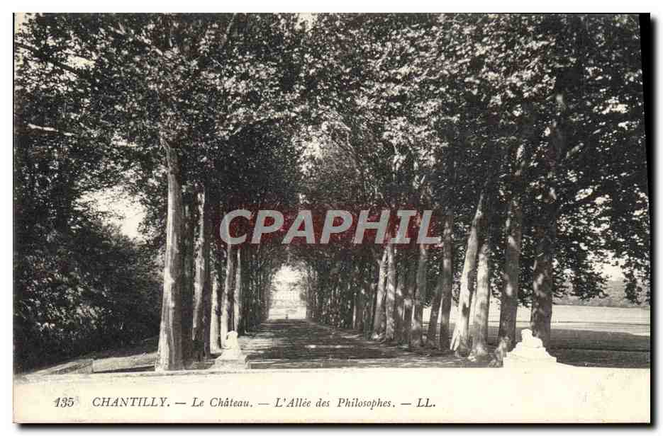 Chantilly — Le Château — L'Allée des Philosophes — LL. — N° 135