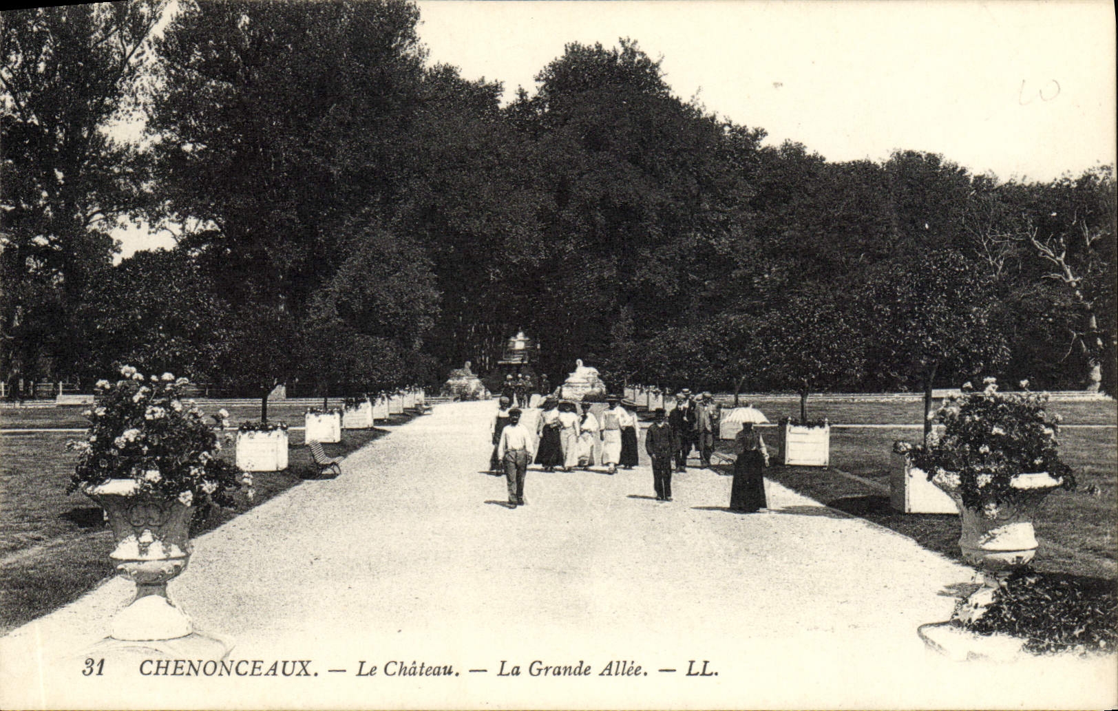 CPA Chenonceaux Le Chateau La Grande Allee
