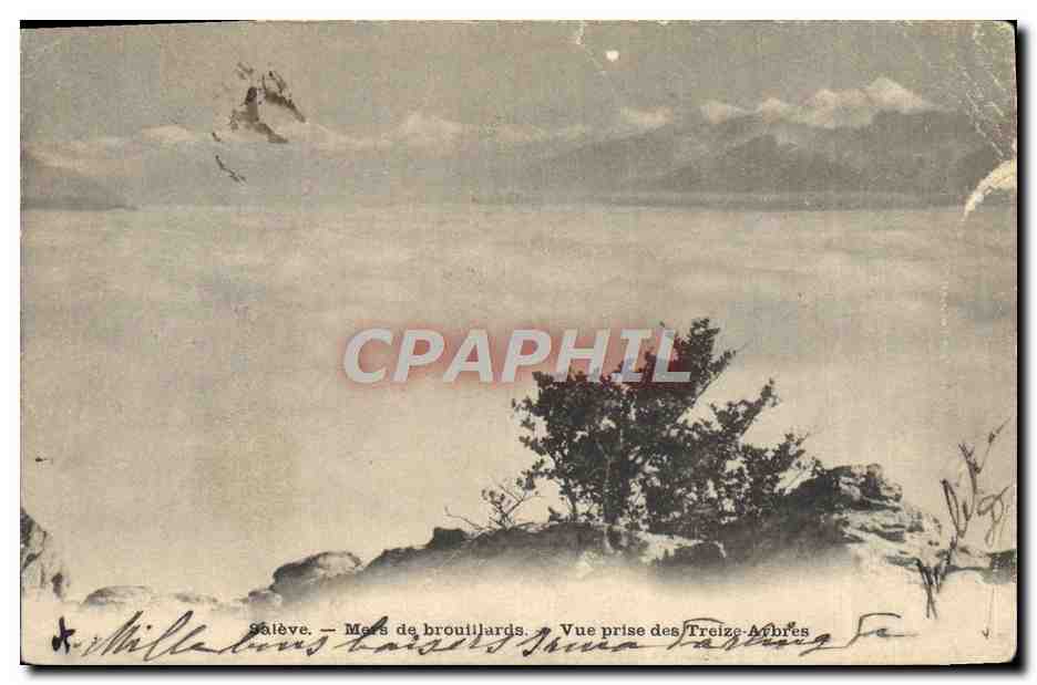 CPA Aleve Mers De Brouilards Vue Prise Des Treize Arbres