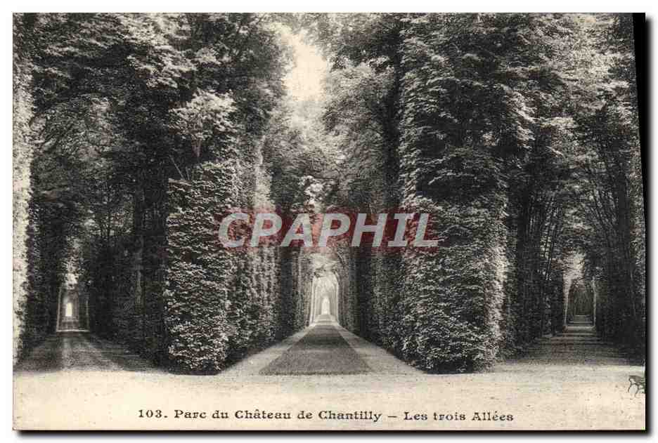 CPA Parc Du Chateau De Chantilly Les Trois Allees