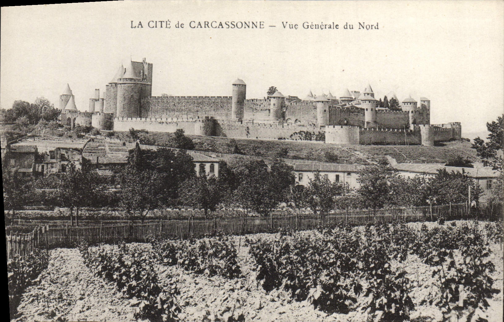 Carcassonne — Vue Générale du Nord — Éditeur : P. Joury