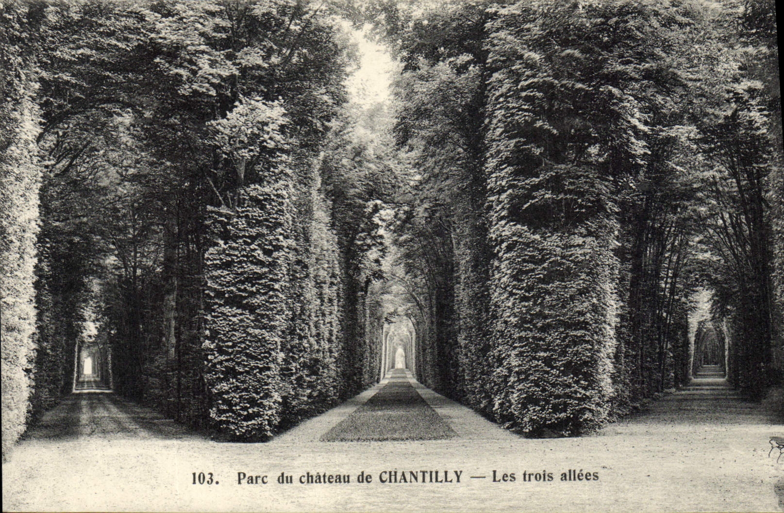 Parc du château de CHANTILLY — Les trois allées — Héliotypie A. Courdier, Versailles, n° 103