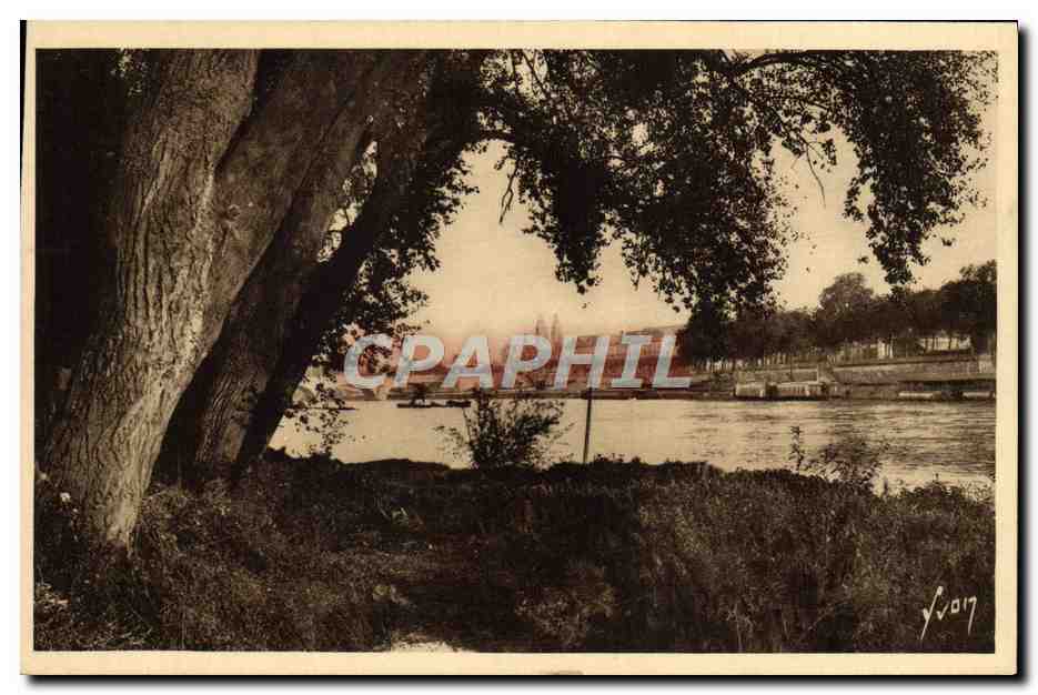 CPA Tours Bords de la Loire la cathedrale et pont de pierre