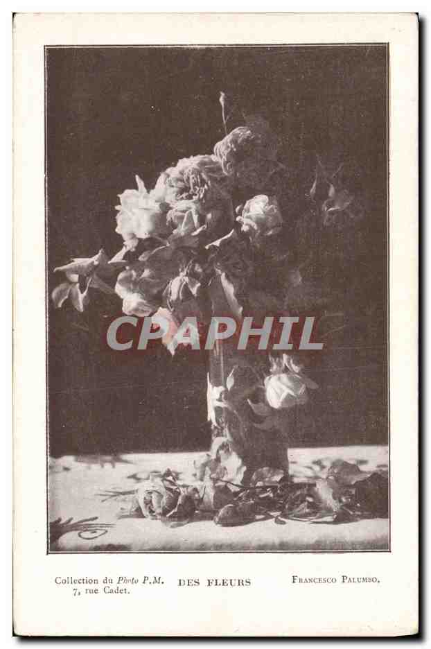CPA Photographie Des fleurs Francesco Palumbo