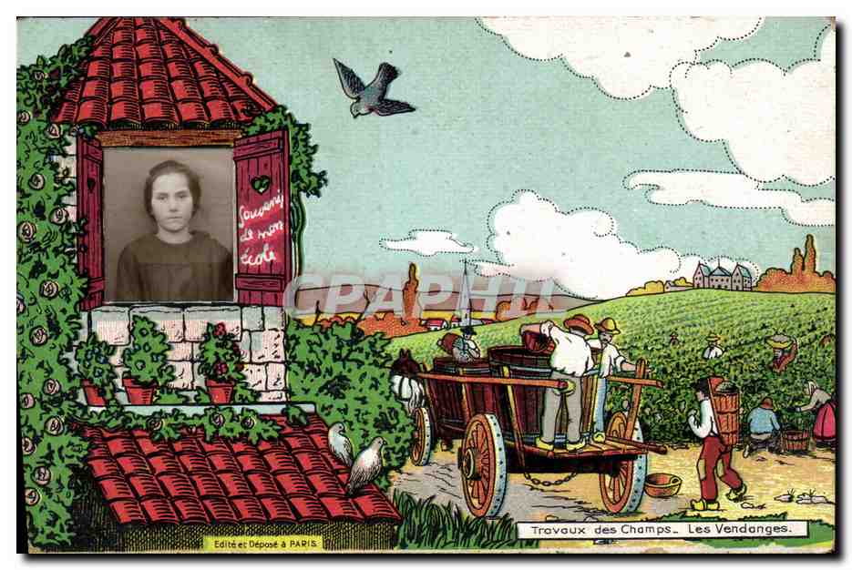 CPA Fantaisie Photographie Enfant Travaux des champs Les vendanges