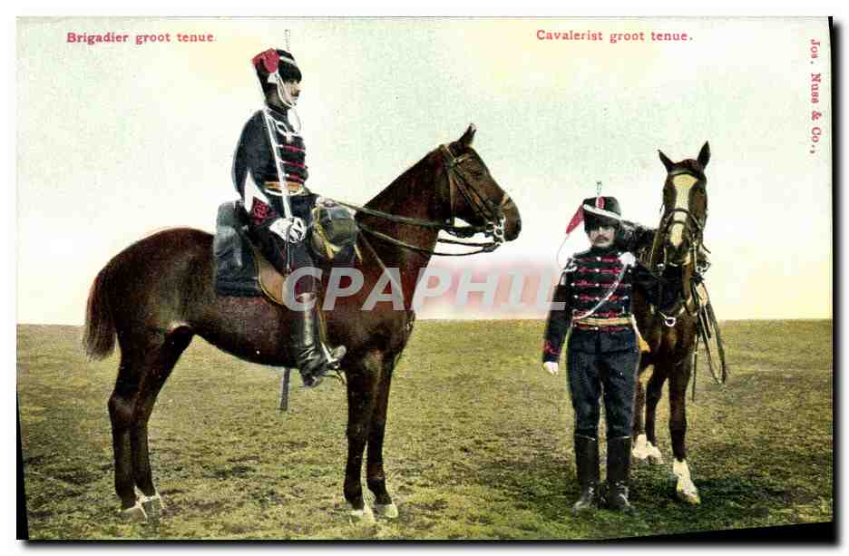 CPA Militaria Brigadier Cheval