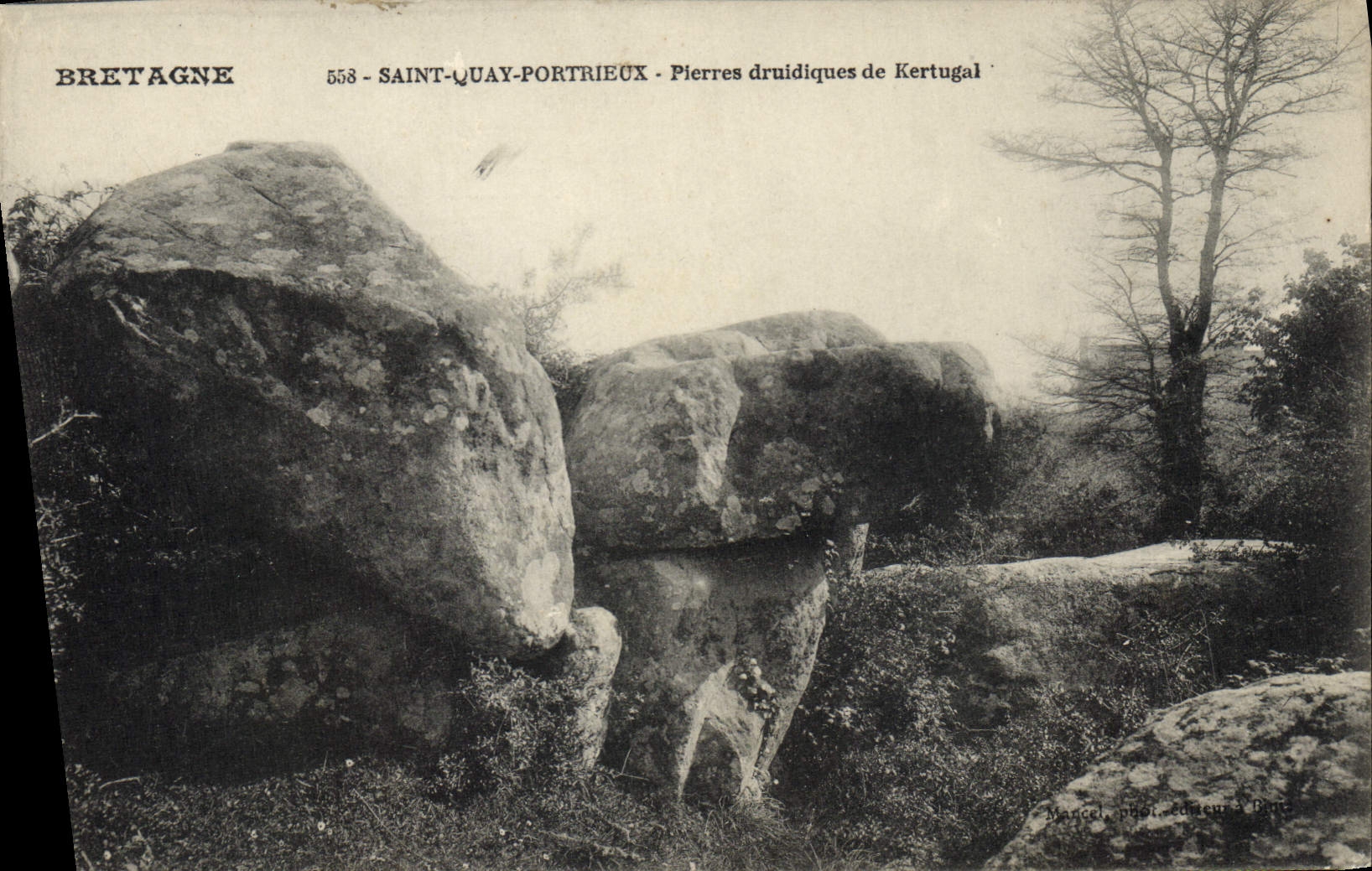 CPA Saint Quay Portrieux Pierres druidiques de Kertugal