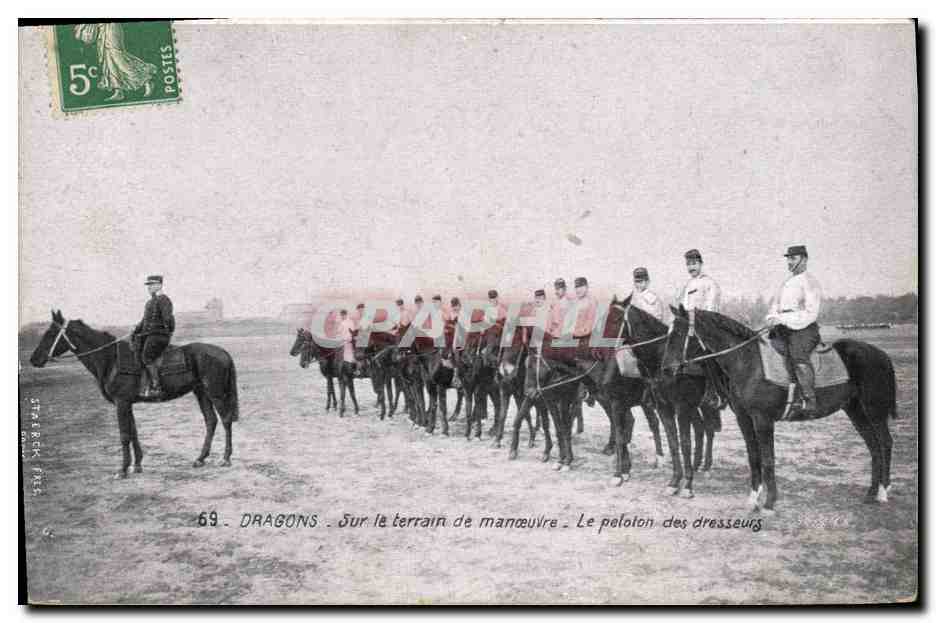 CPA Militaria Dragons Sur le terrain de manoeuvre Le peloton des dresseurs