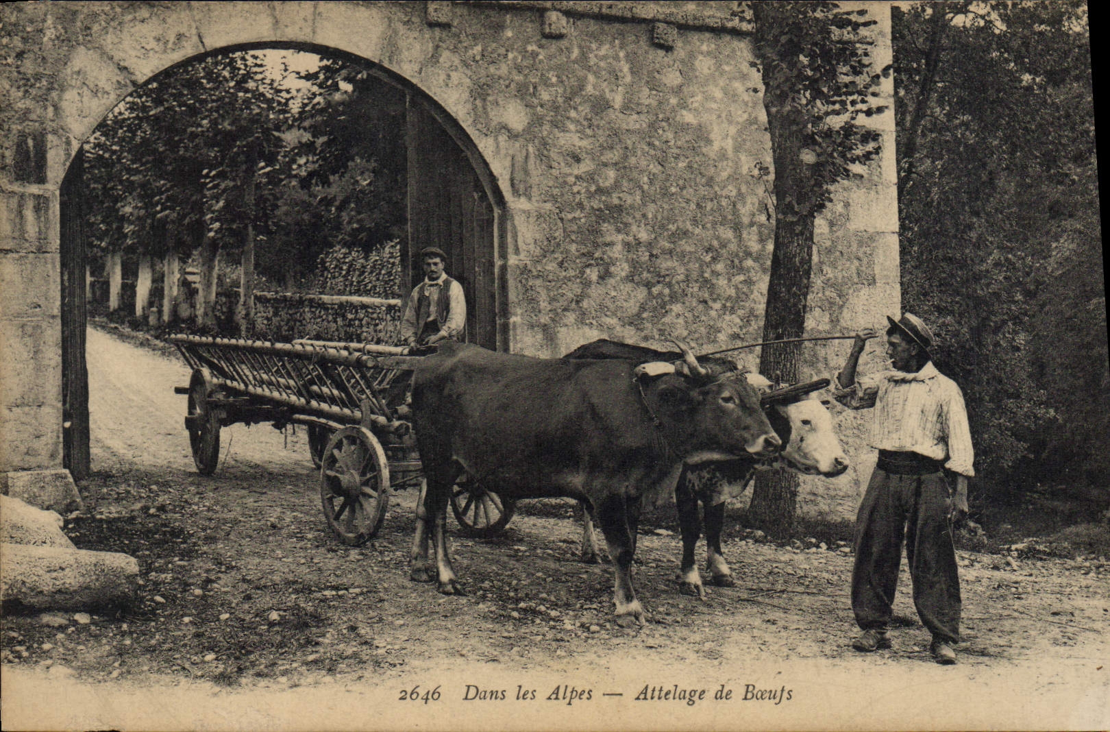 Dans les Alpes — Attelage de Bœujs — n° 2646