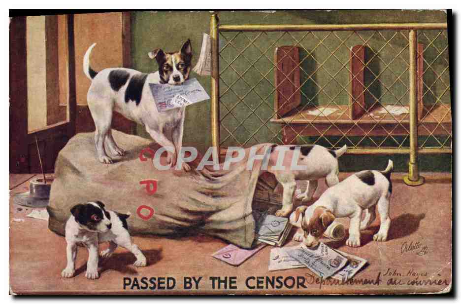 CPA Fantaisie Passed by the censor Chien Chiens