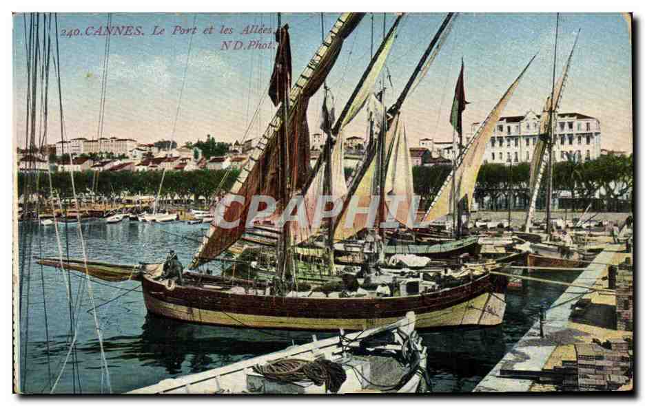 CANNES. Le Port et les Allées — N.D. Phot. — n° 240