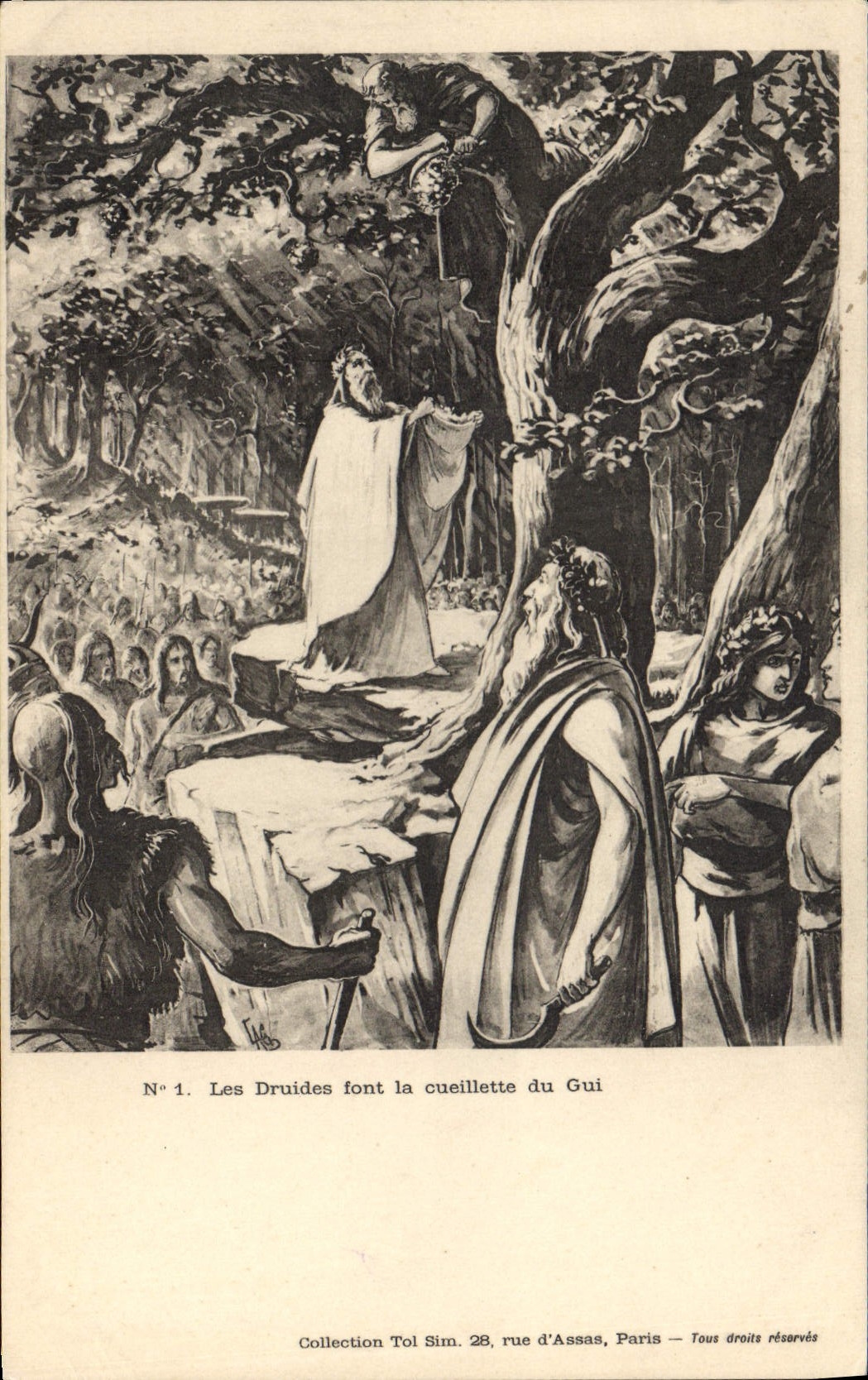 CPA Les Druides font la cueillette du gui
